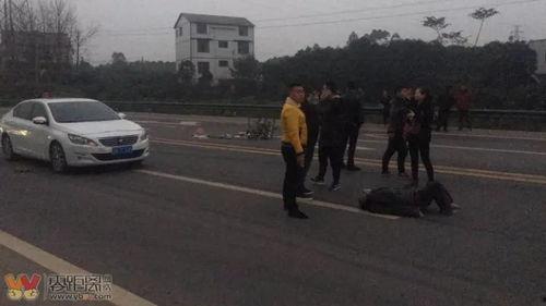 西湖爆料车祸最新消息,悲剧发生，伤亡情况公布